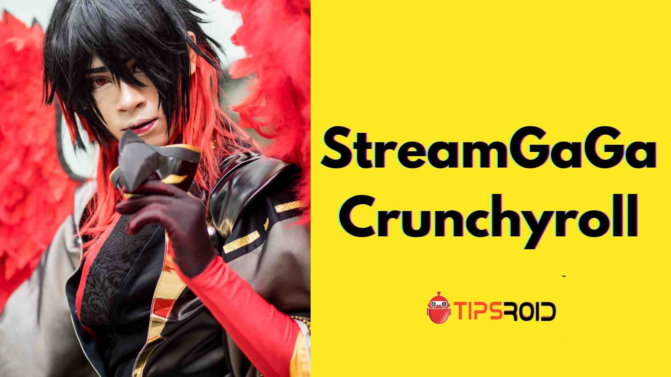 Watch Offline Using StreamGaGa Crunchyroll Downloader