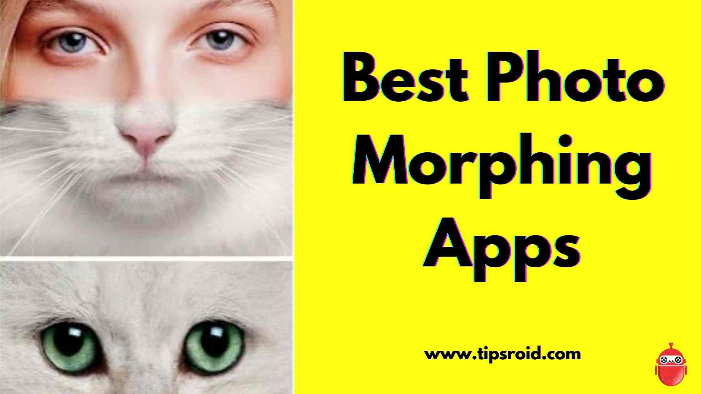 Photo Morphing Apps